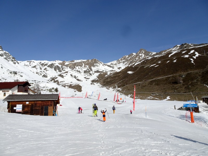 dsc01974cbkis.jpg