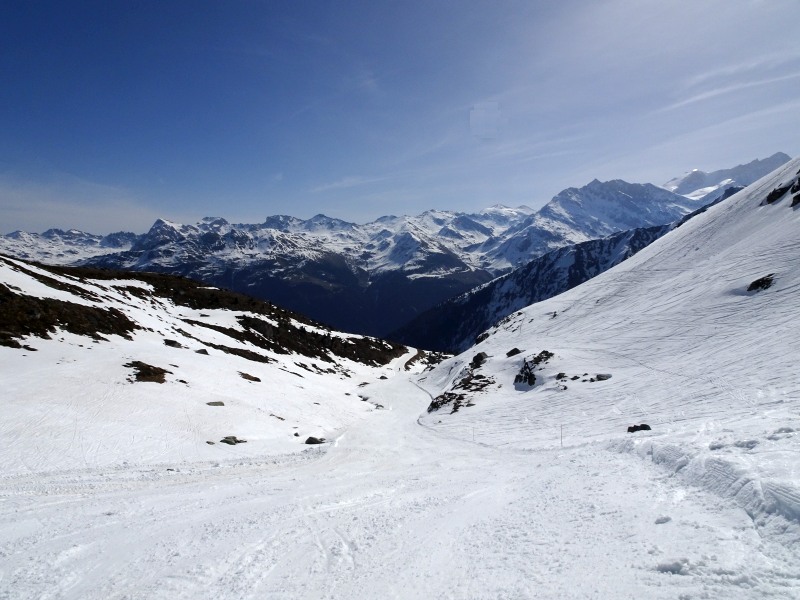 dsc01981qoklc.jpg