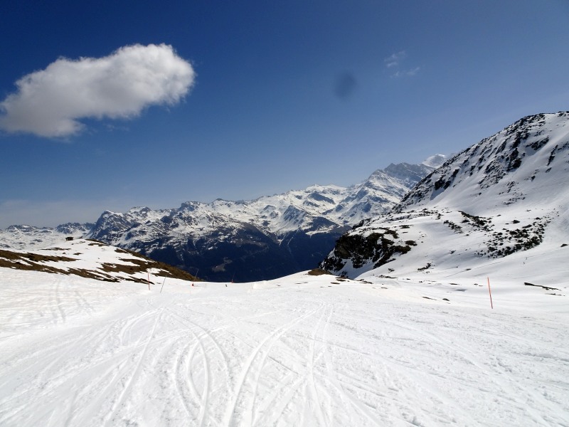 dsc01996ork4y.jpg
