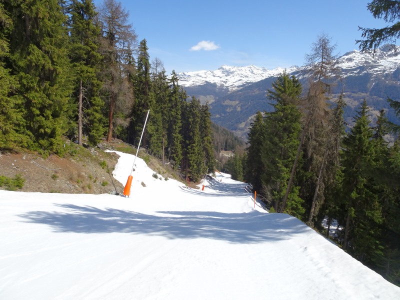 dsc01998b2jca.jpg