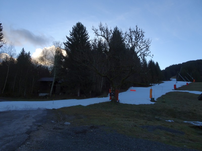 dsc02395xqip3.jpg