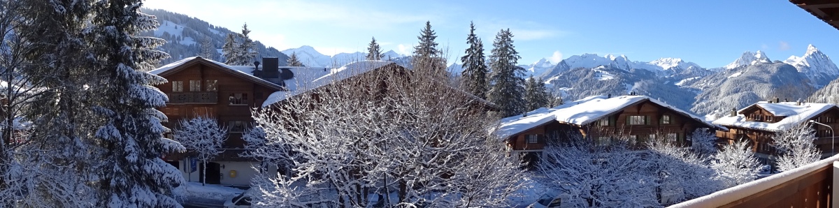 dsc02485mwsbl.jpg