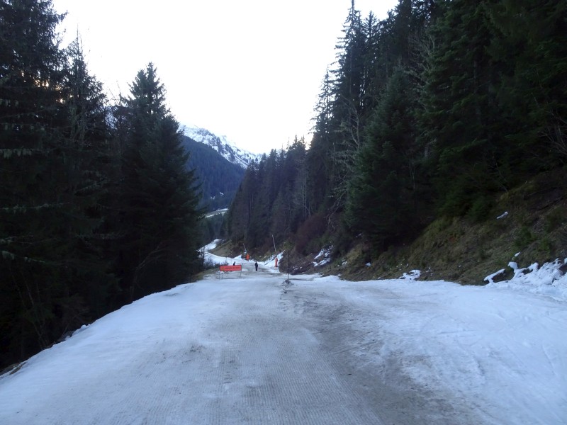 dsc02497rgdns.jpg