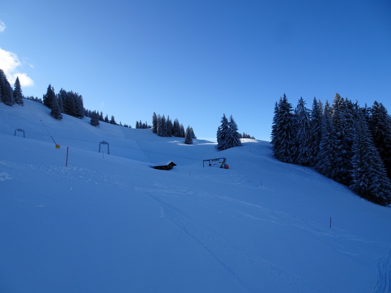 dsc025031as22.jpg