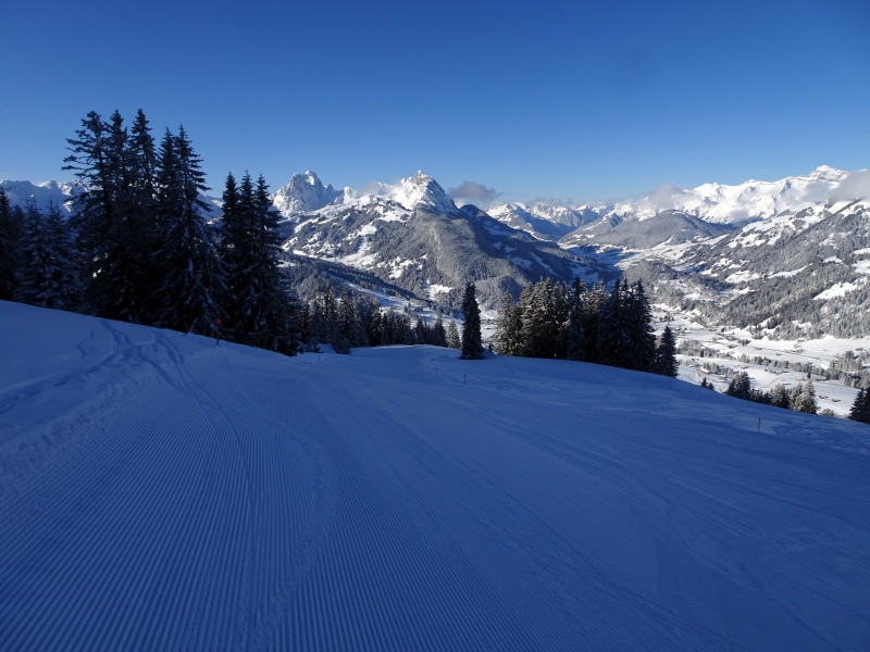 dsc025196csqz.jpg