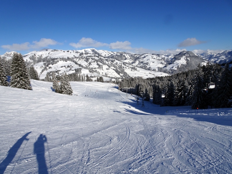 dsc02552dus8x.jpg