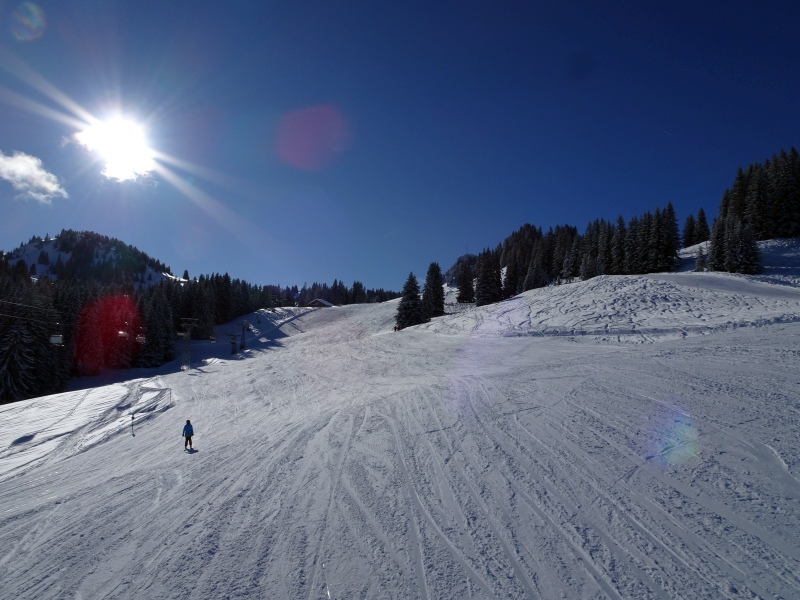 dsc02554nusbm.jpg