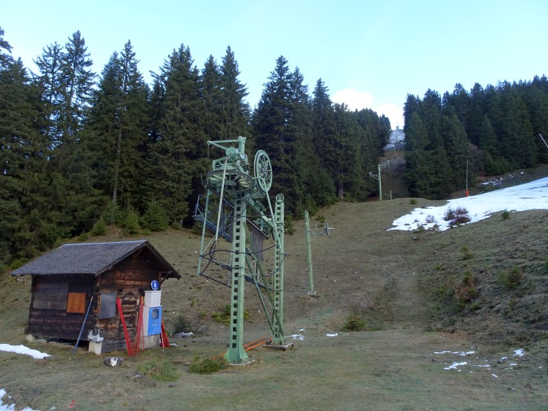 dsc02556bjcdf.jpg