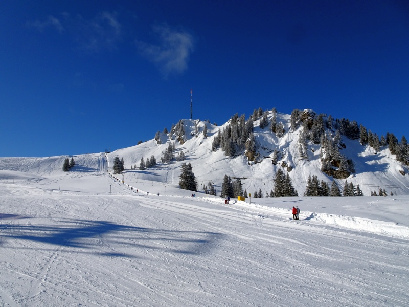 dsc02593jdst5.jpg