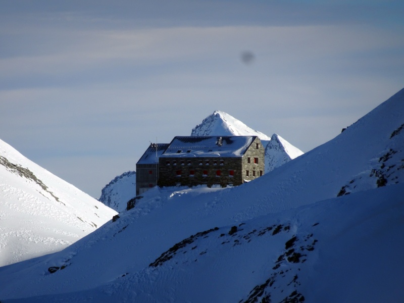 dsc02687b7jeg.jpg
