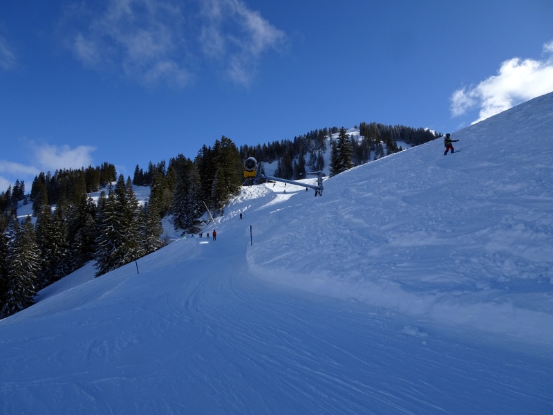 dsc02741zdsgn.jpg