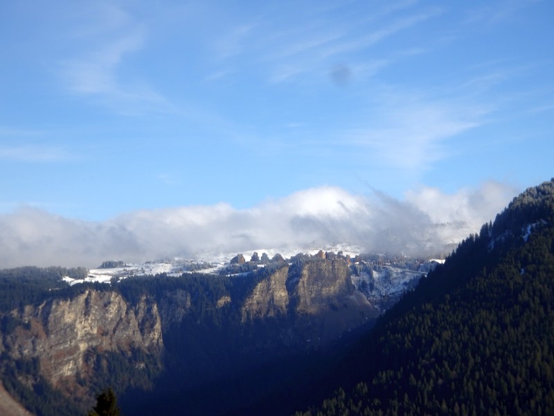 dsc027542cdy6.jpg