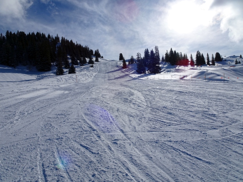 dsc02757nasxr.jpg