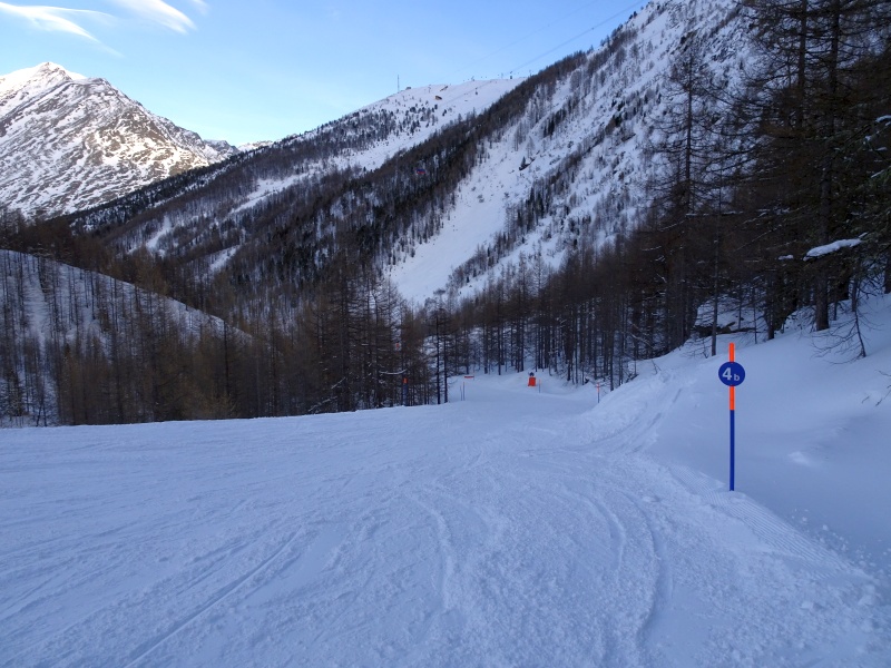 dsc02783wijon.jpg