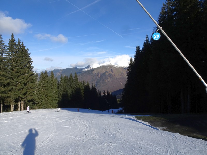 dsc02784t1e2t.jpg
