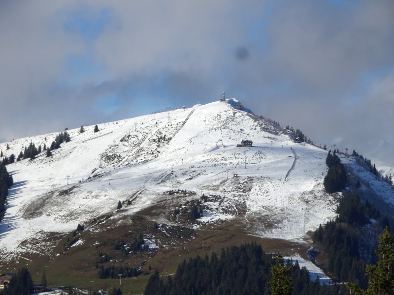 dsc0282650e3p.jpg