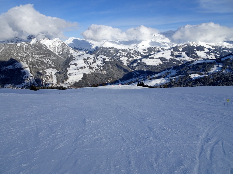 dsc028876js7r.jpg
