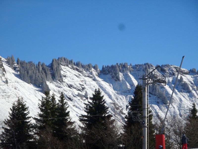 dsc02900oafrp.jpg