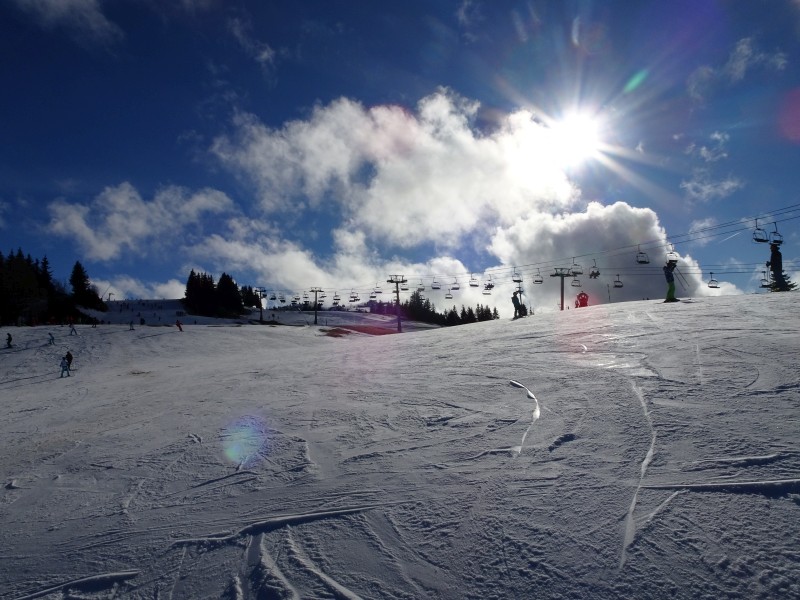 dsc029119xifh.jpg