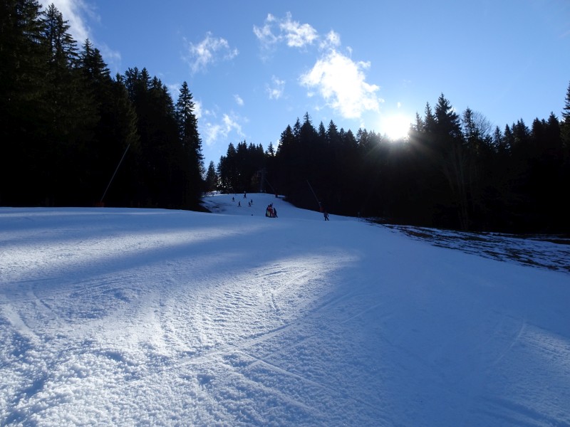 dsc0291772c9g.jpg