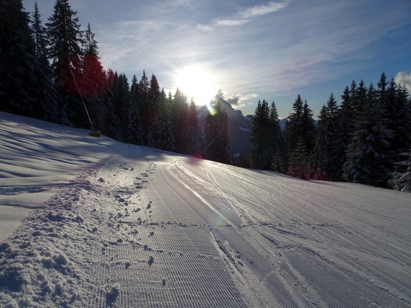 dsc02929qzsmo.jpg