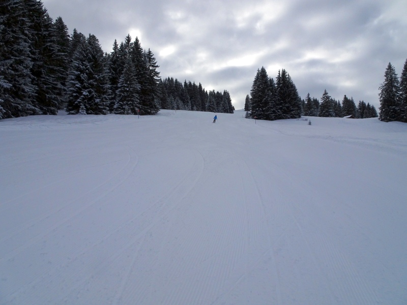 dsc02985opkne.jpg