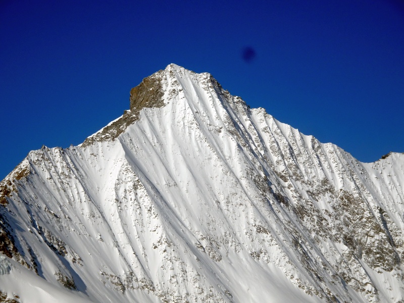 dsc03020ffj3q.jpg