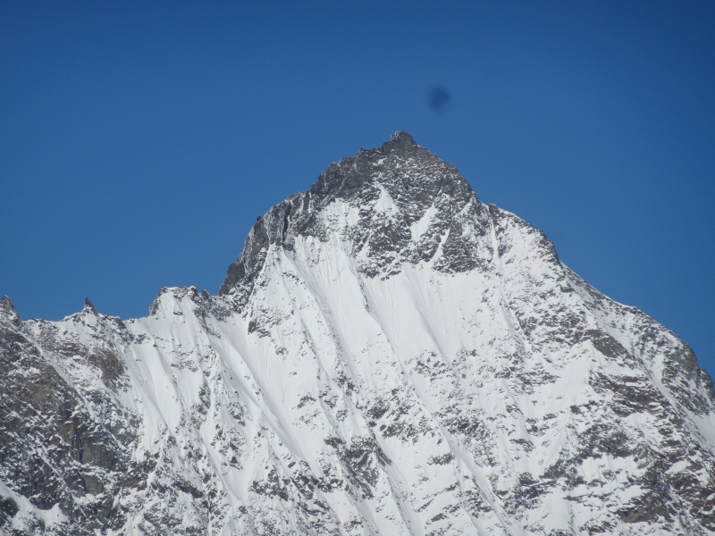 dsc030226zj3d.jpg