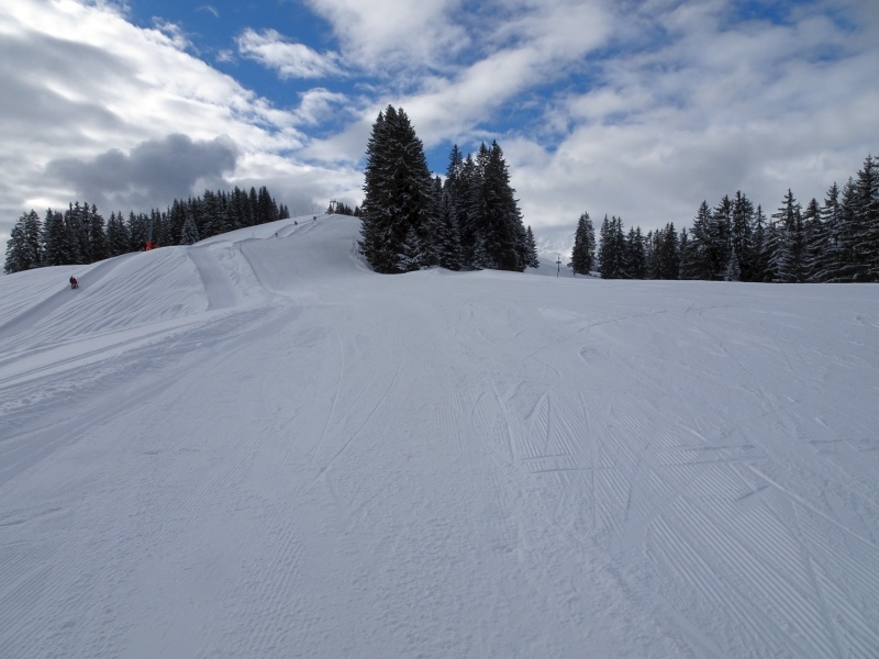 dsc030679fkgz.jpg