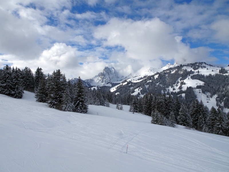 dsc030716ak6t.jpg