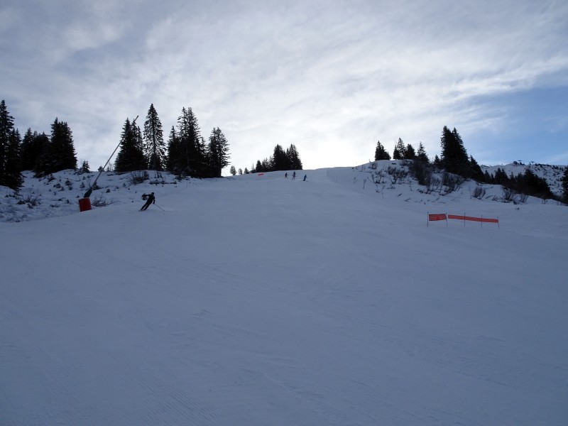 dsc031199ve9i.jpg