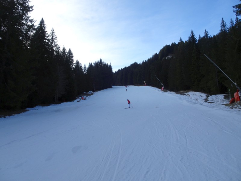 dsc03151pldgf.jpg