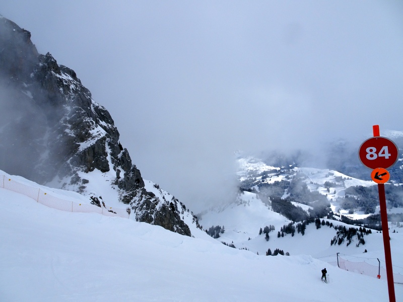 dsc03161c4k17.jpg