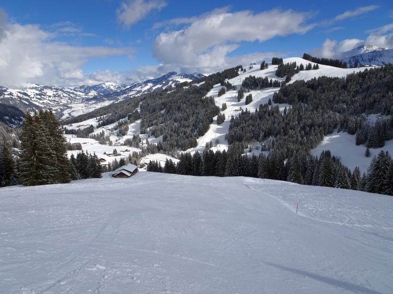 dsc03179vjkn1.jpg