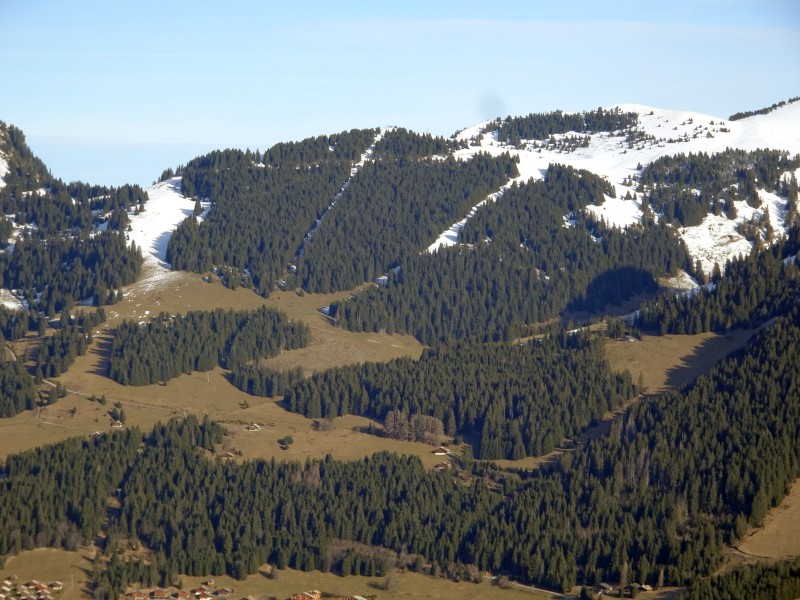 dsc032401ydrt.jpg
