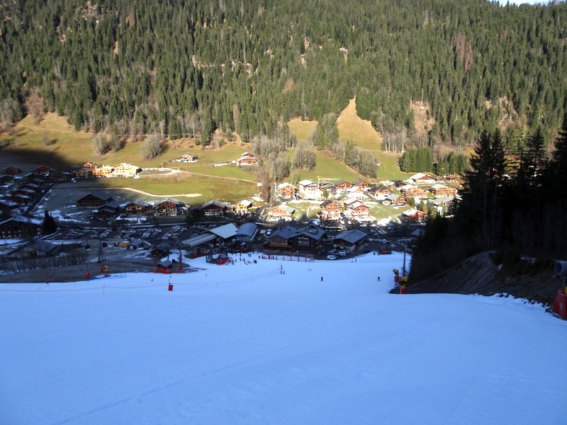 dsc032619lfkk.jpg
