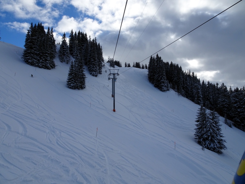 dsc032675lj8c.jpg