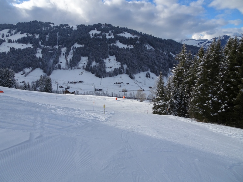 dsc03316x2jdf.jpg