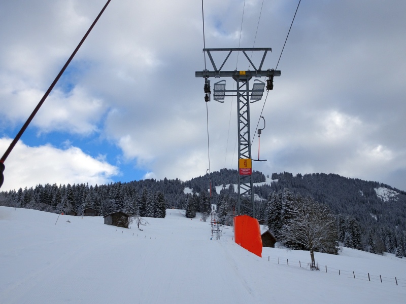 dsc03343pnkpm.jpg