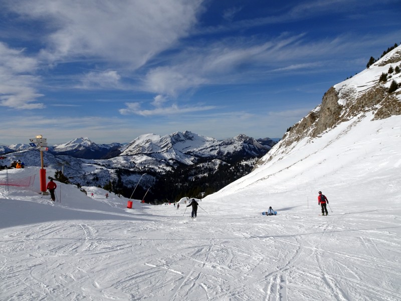 dsc03345nacoj.jpg