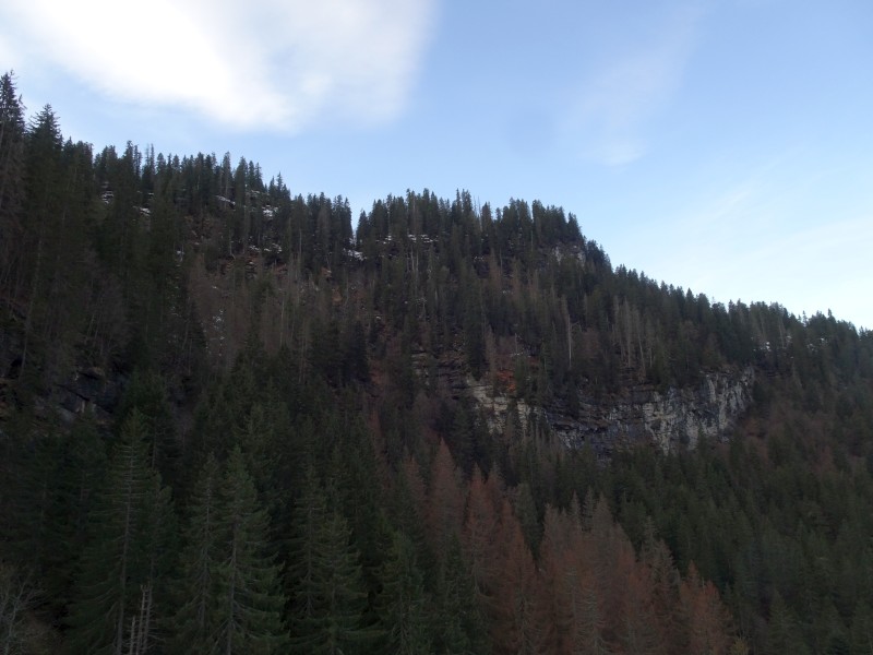 dsc03415chfxb.jpg