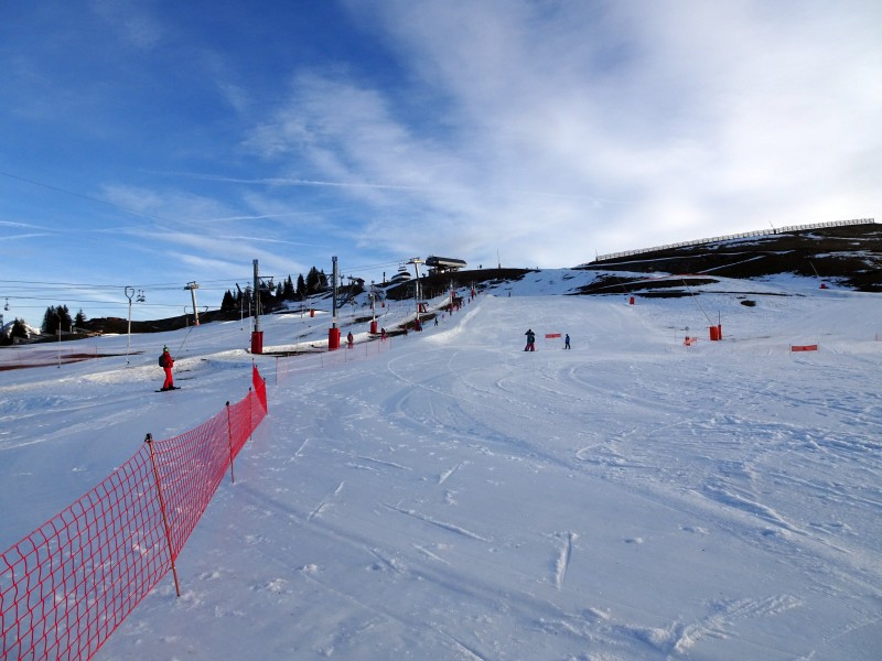 dsc03421qoik3.jpg
