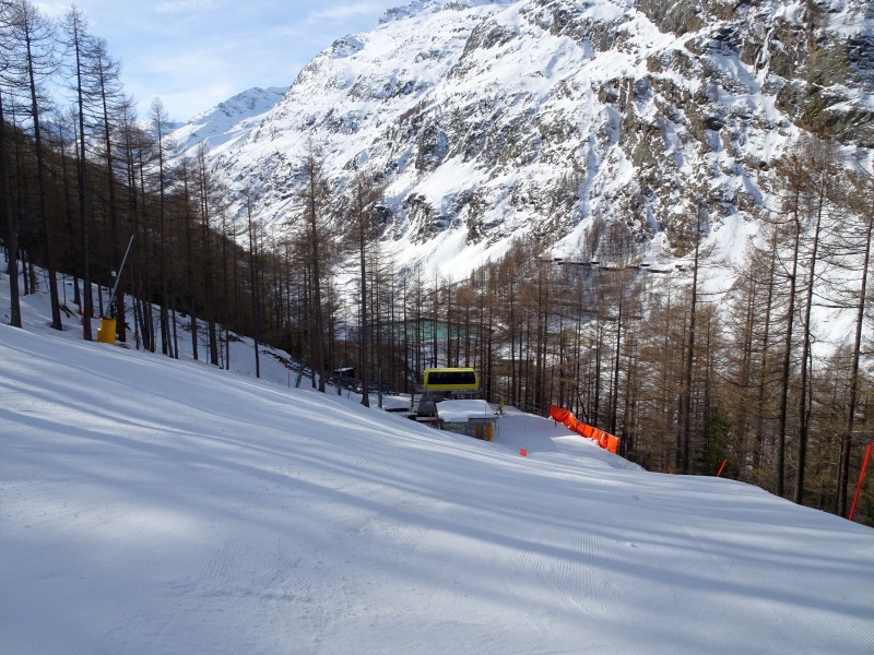 dsc034378yjw1.jpg