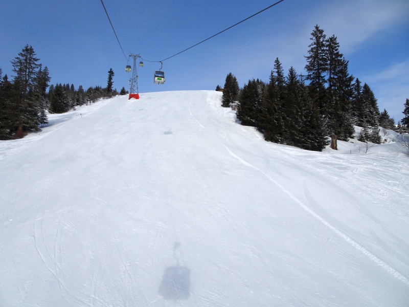 dsc03463v0uvp.jpg