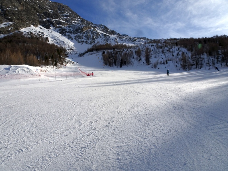 dsc03471o5ksy.jpg