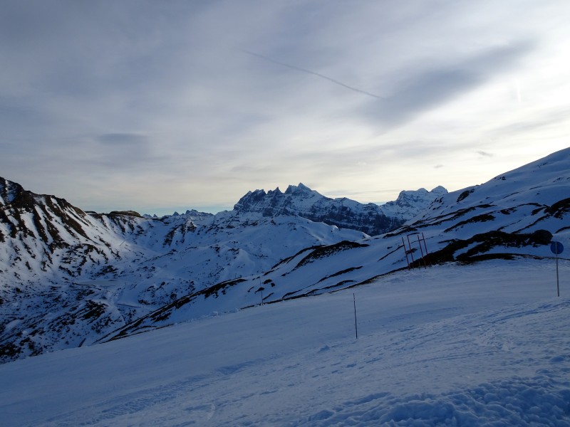 dsc03481vwdvp.jpg