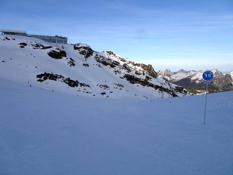 dsc03487o1d2f.jpg