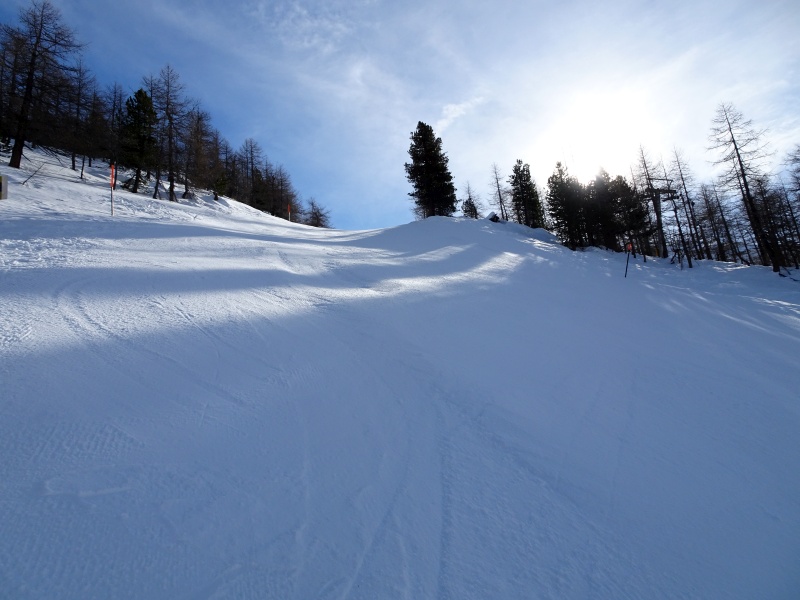 dsc035275wj1h.jpg