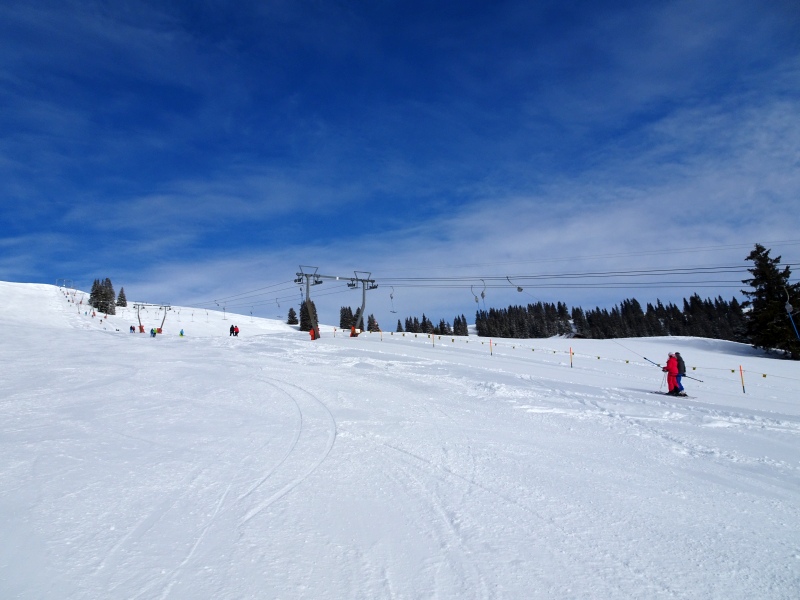 dsc03539wxug5.jpg