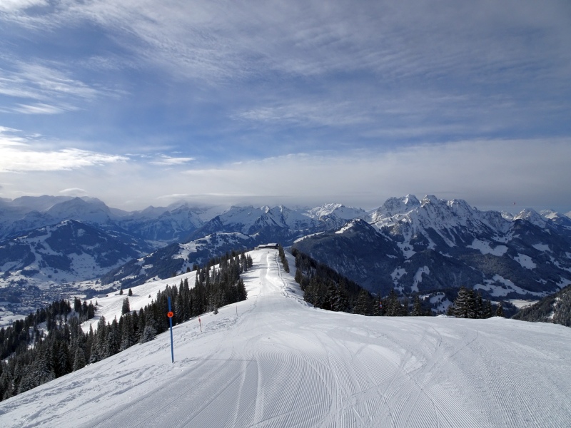 dsc03563e4uiy.jpg